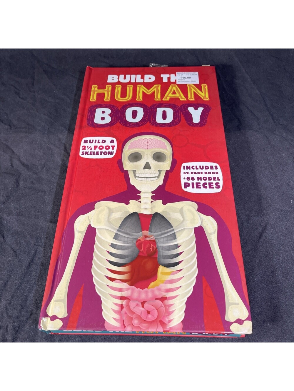 Build the Human Body - Paperback, by Walker Richard - Very Good